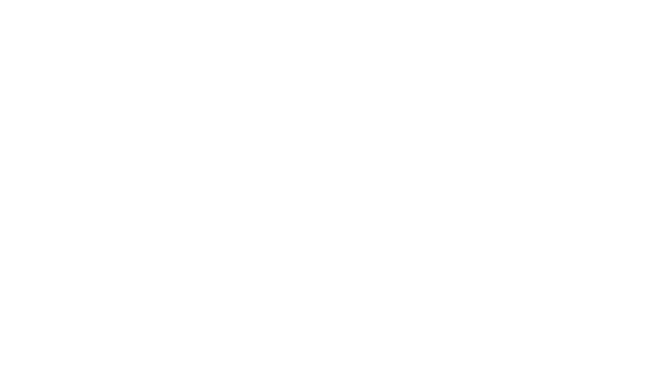 maximumvisibility-vector