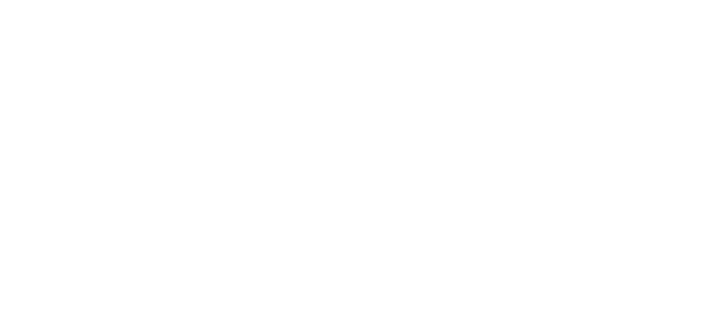 localinsight-vector